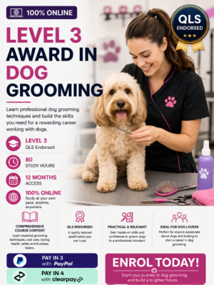 Dog Grooming Level 3