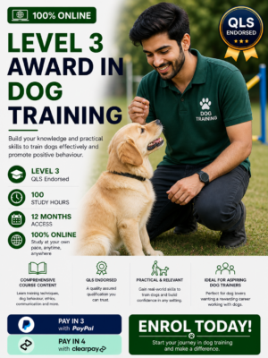 Dog Training Level 3