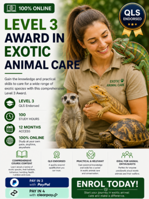 Exotic Animal Care Level 3