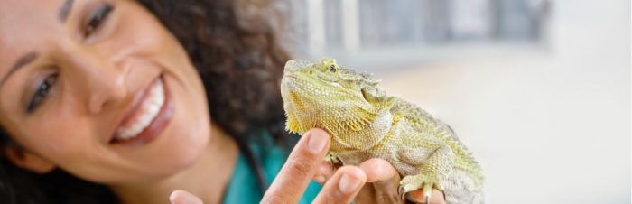 Exotic animal care Courses