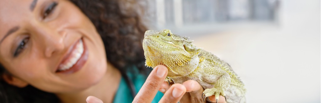 Exotic Animal Care Course | Distance Learning | UK Open College