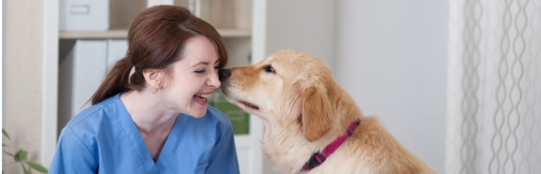 Animal Care Courses Online | Home Learning - UK Open College