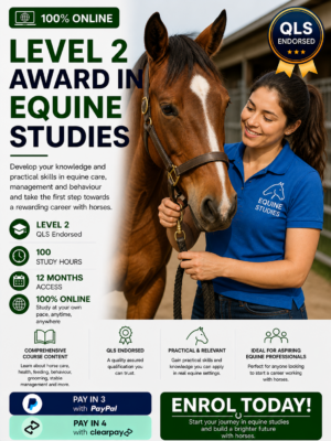 Equine Studies Level 2