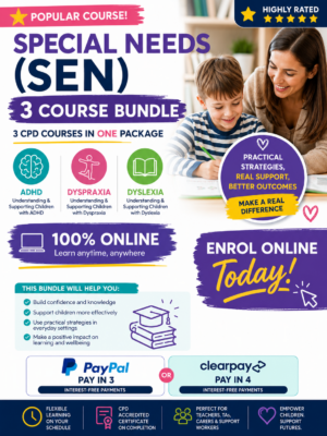 SEN 3 Course Bundle