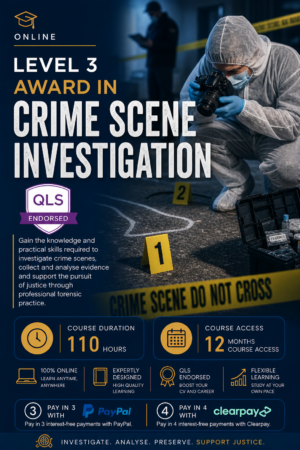 CSI Level 3